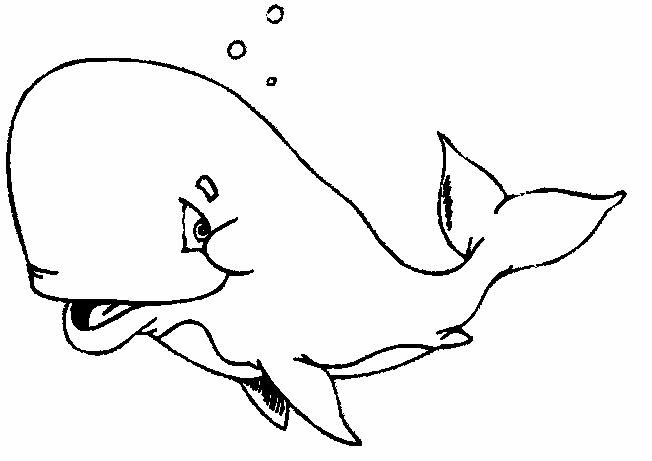 Coloriage 13 Baleines