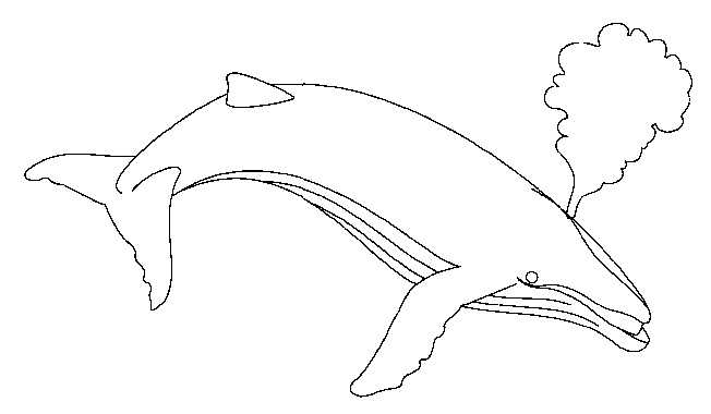 Coloriage 14 Baleines