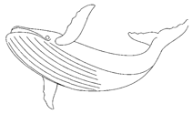 Coloriage Baleines 2