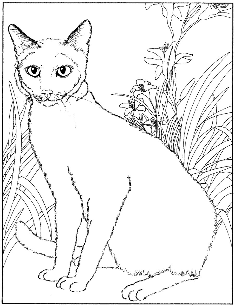 Coloriage 196 Chats