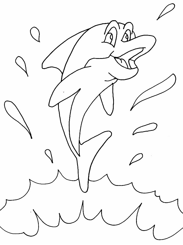Coloriage 11 Dauphins