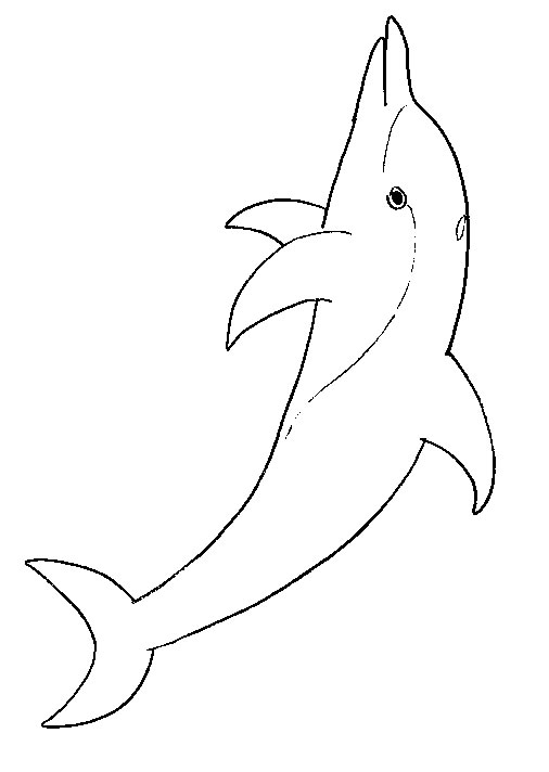Coloriage 12 Dauphins