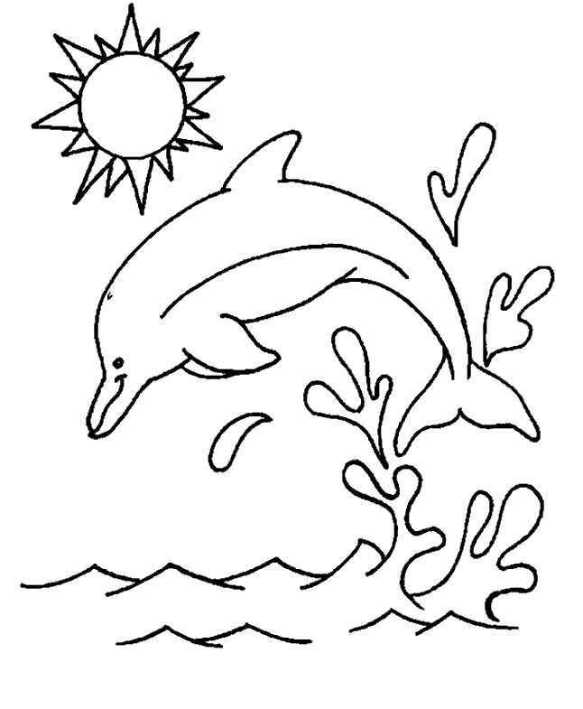 Coloriage 14 Dauphins