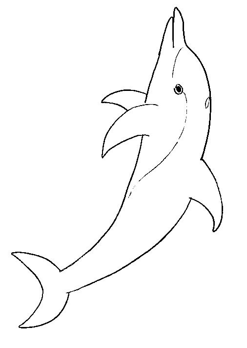 Coloriage 18 Dauphins