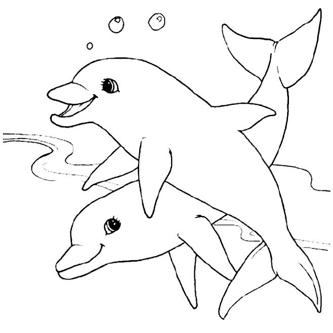 Coloriage 24 Dauphins