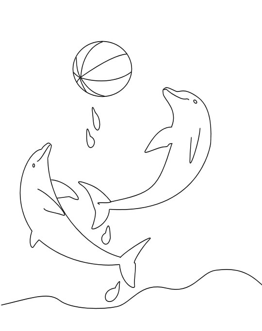 Coloriage 26 Dauphins