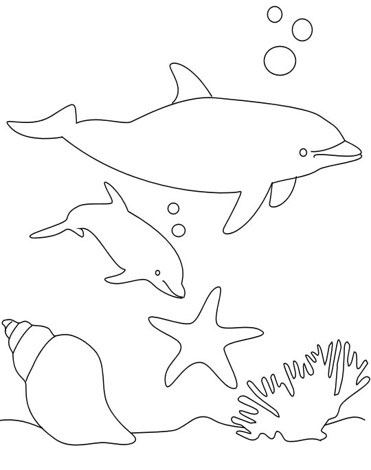 Coloriage 27 Dauphins