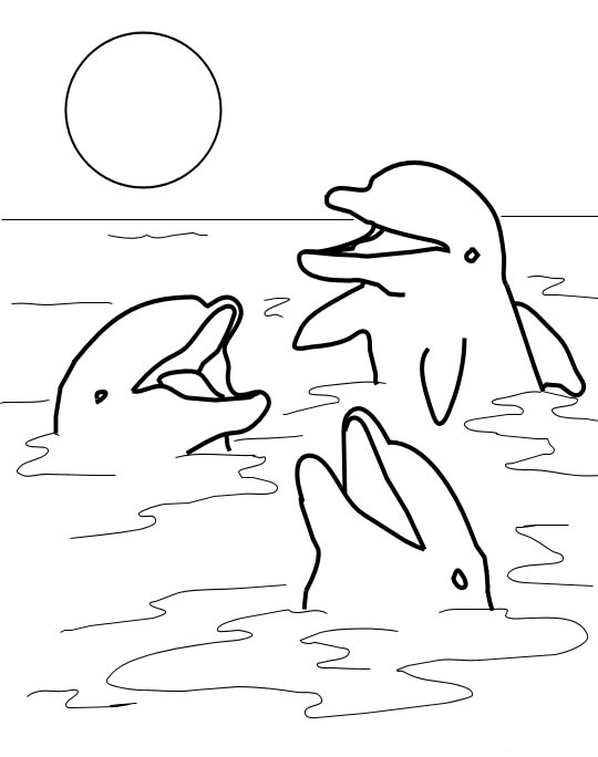 Coloriage 29 Dauphins