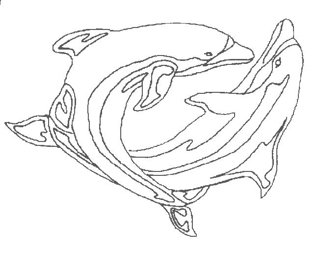 Coloriage 41 Dauphins