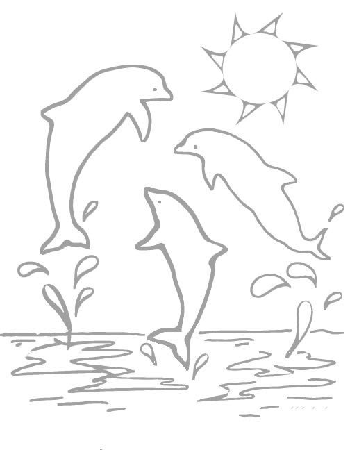 Coloriage 8 Dauphins