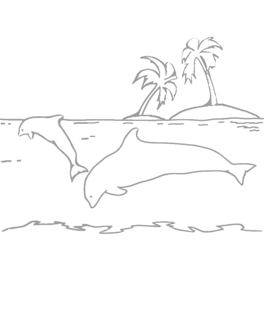 Coloriage 9 Dauphins