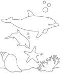 Coloriage Dauphins 27