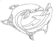 Coloriage Dauphins 35