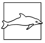 Coloriage Dauphins 44