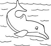 Coloriage Dauphins 7