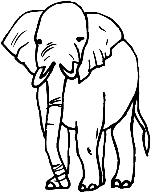 Coloriage 15 Elephants