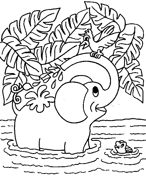 Coloriage 17 Elephants