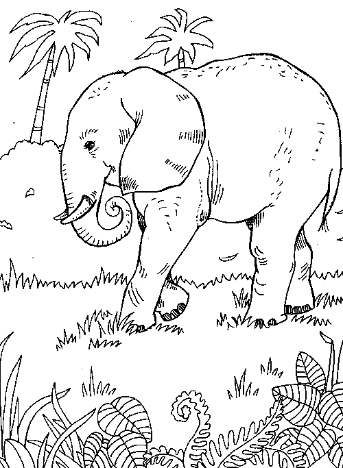 Coloriage 18 Elephants