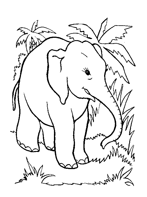 Coloriage 46 Elephants