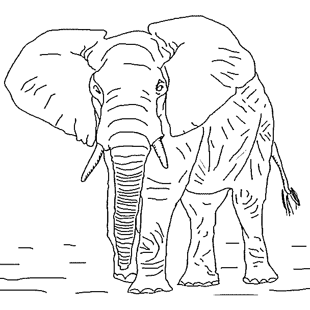 Coloriage 6 Elephants