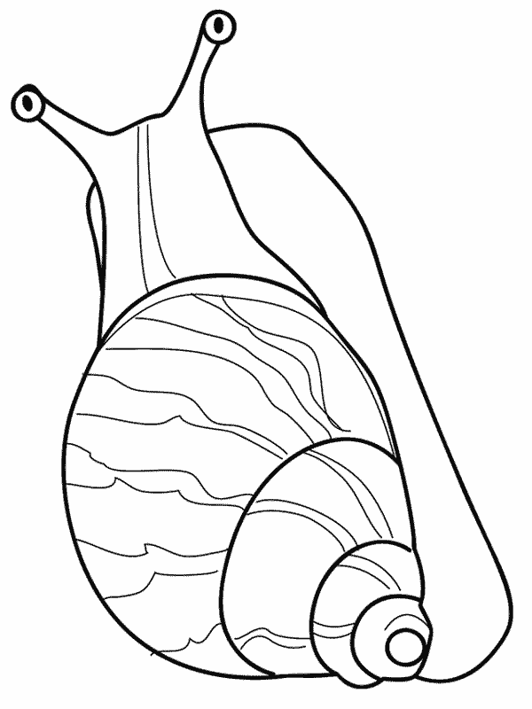 Coloriage 6 Escargots