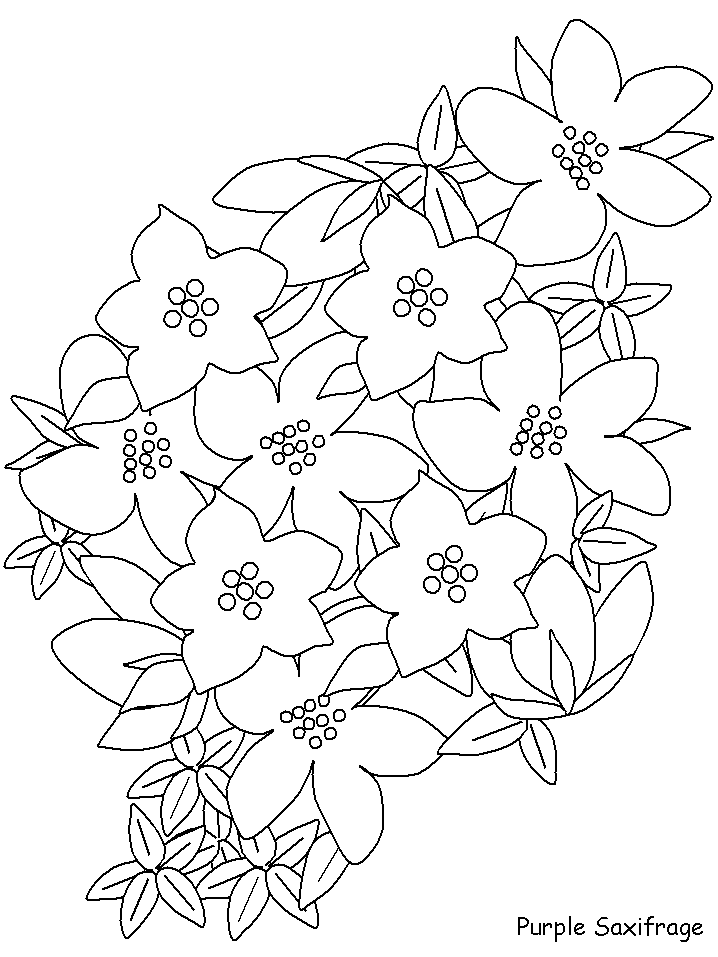 Coloriage 131 Fleurs