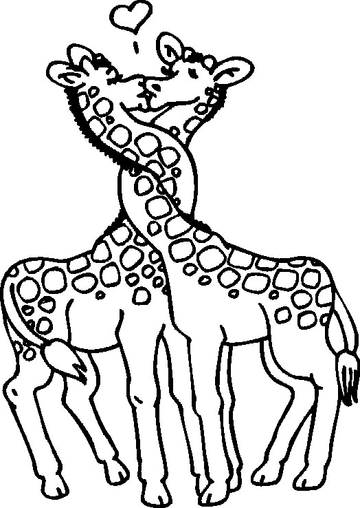 Coloriage 11 Girafes