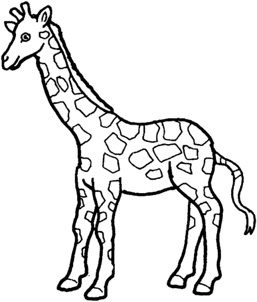 Coloriage 17 Girafes