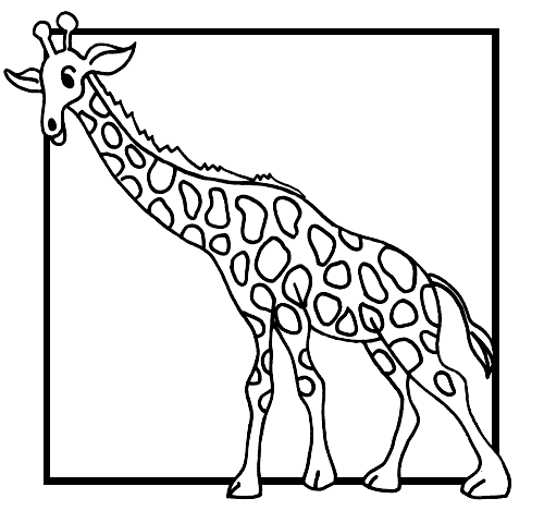 Coloriage 18 Girafes