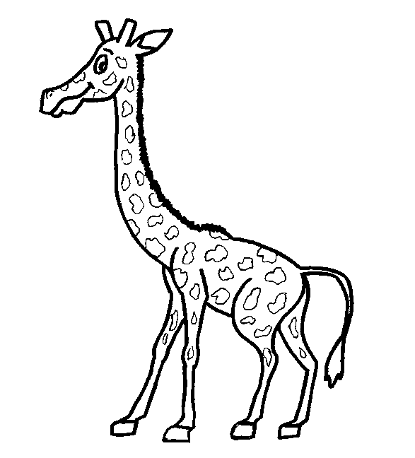 Coloriage 29 Girafes