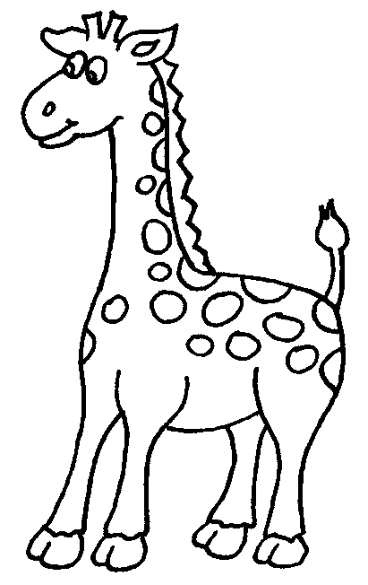 Coloriage 4 Girafes