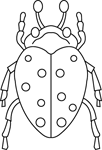 Coloriage Insectes 14
