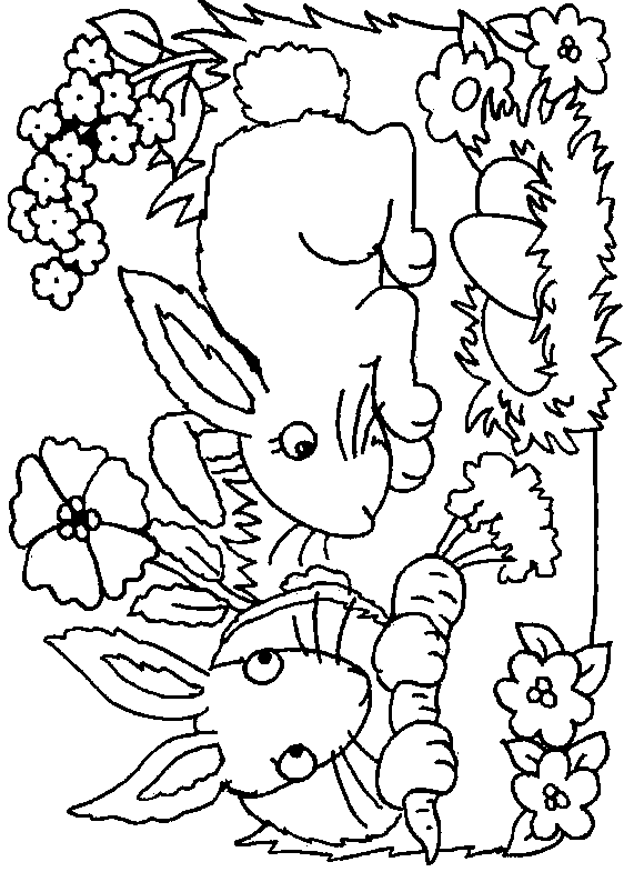 Coloriage 20 Lapins