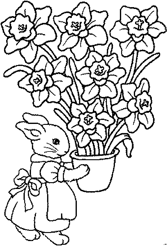Coloriage 29 Lapins