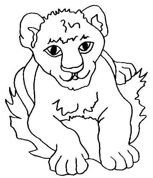 Coloriage 11 Lions