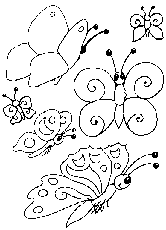 Coloriage 1 Papillons