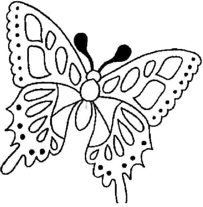 Coloriage 109 Papillons