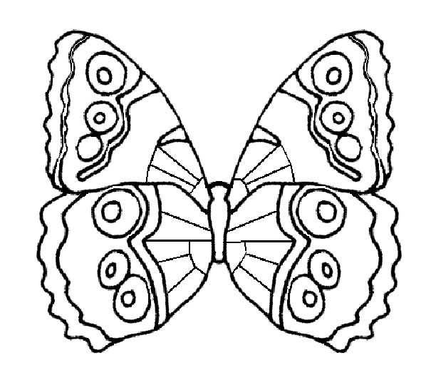 Coloriage 110 Papillons