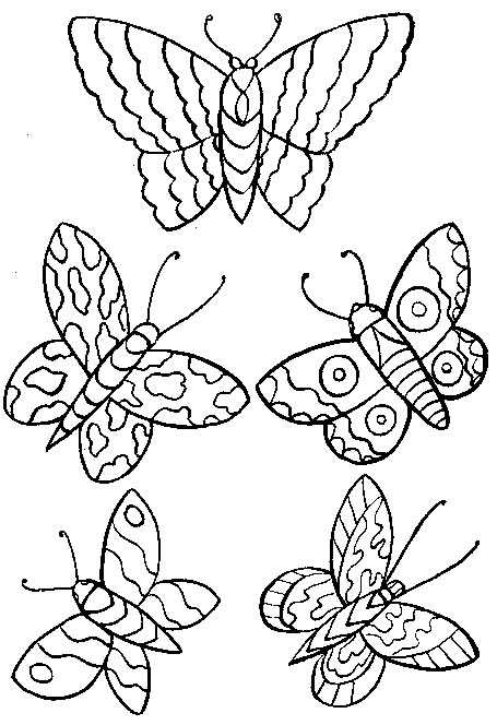 Coloriage 118 Papillons
