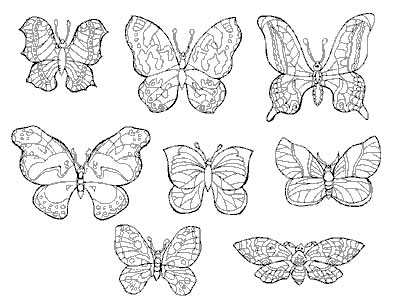 Coloriage 122 Papillons