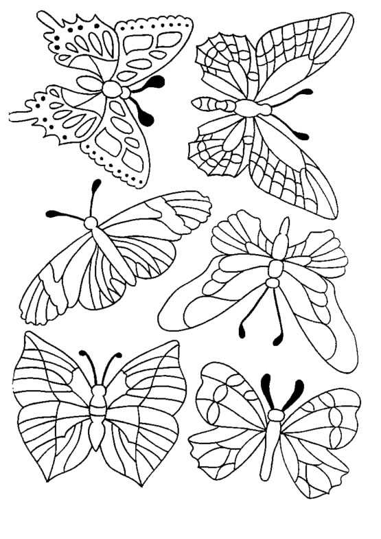 Coloriage 125 Papillons