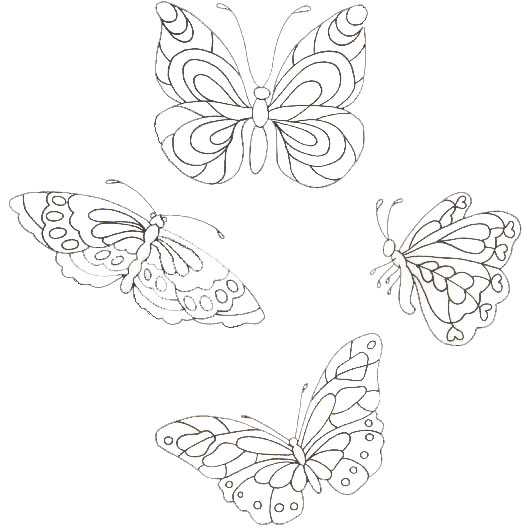 Coloriage 126 Papillons