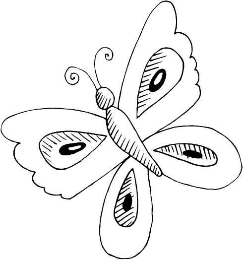 Coloriage 138 Papillons