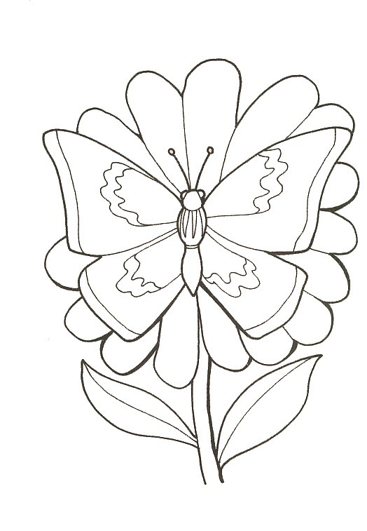 Coloriage 14 Papillons