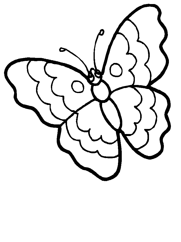 Coloriage 144 Papillons