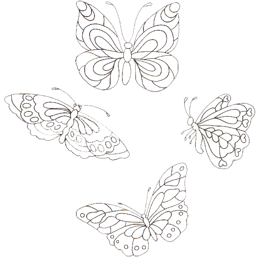 Coloriage 19 Papillons