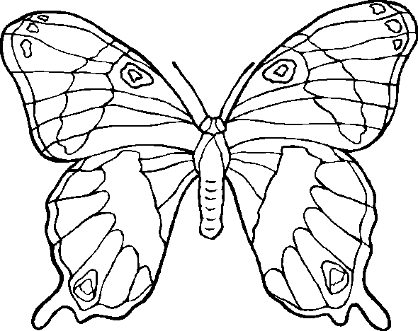 Coloriage 33 Papillons