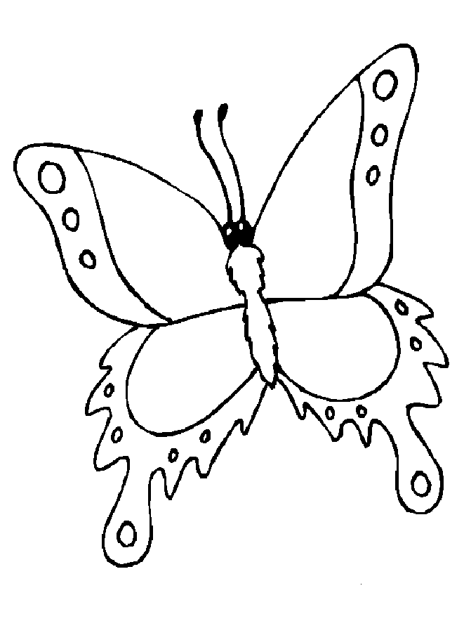 Coloriage 49 Papillons
