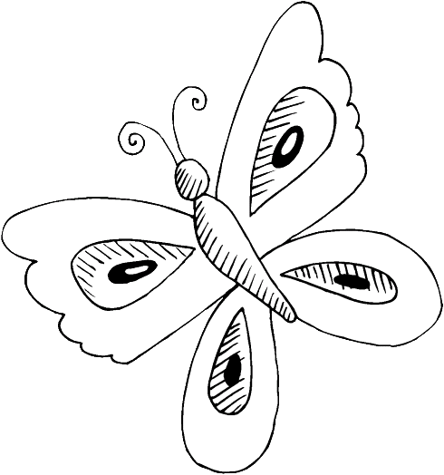 Coloriage 5 Papillons