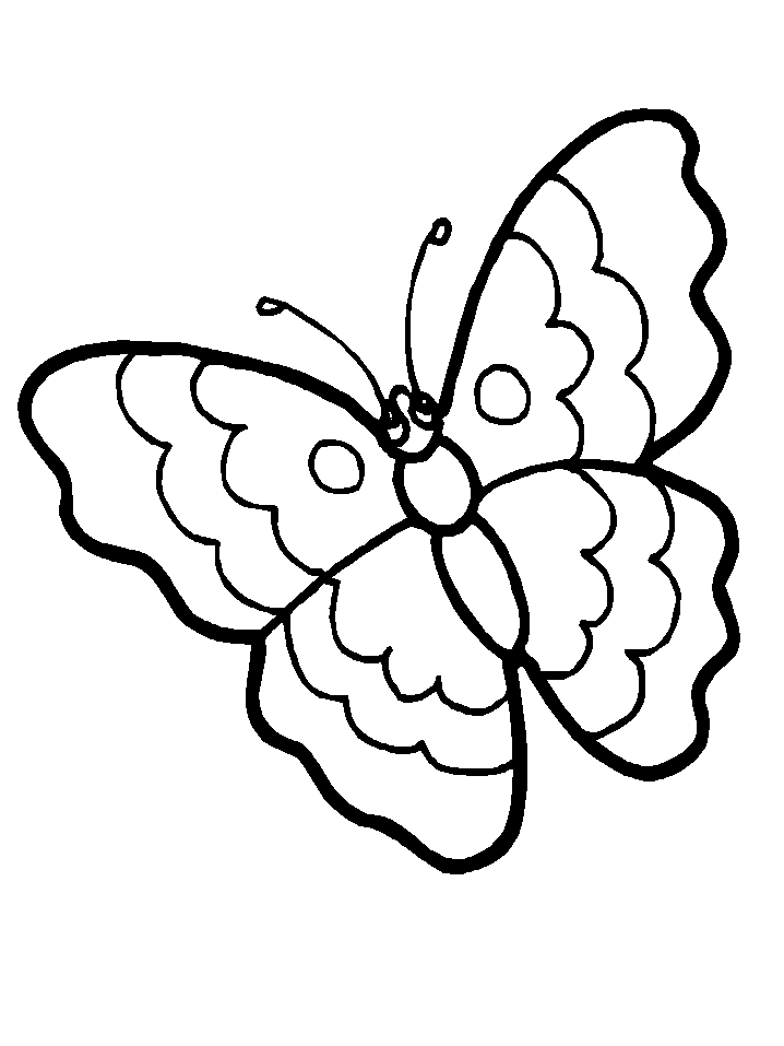 Coloriage 61 Papillons